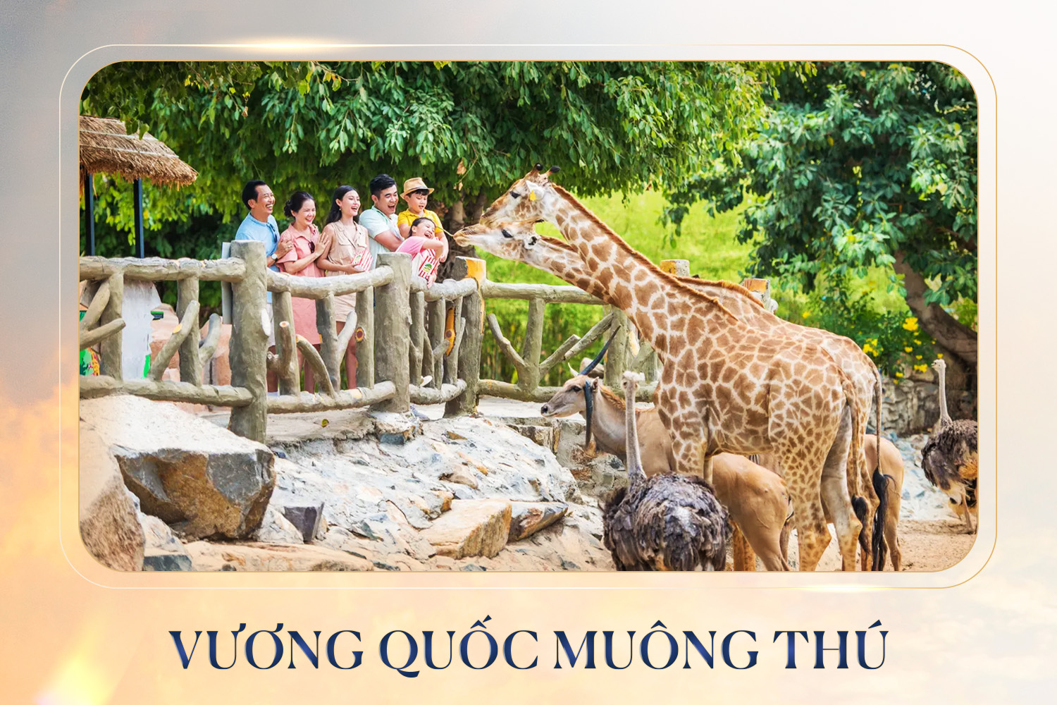 Vương quốc muông thú Safari Vũ Yên